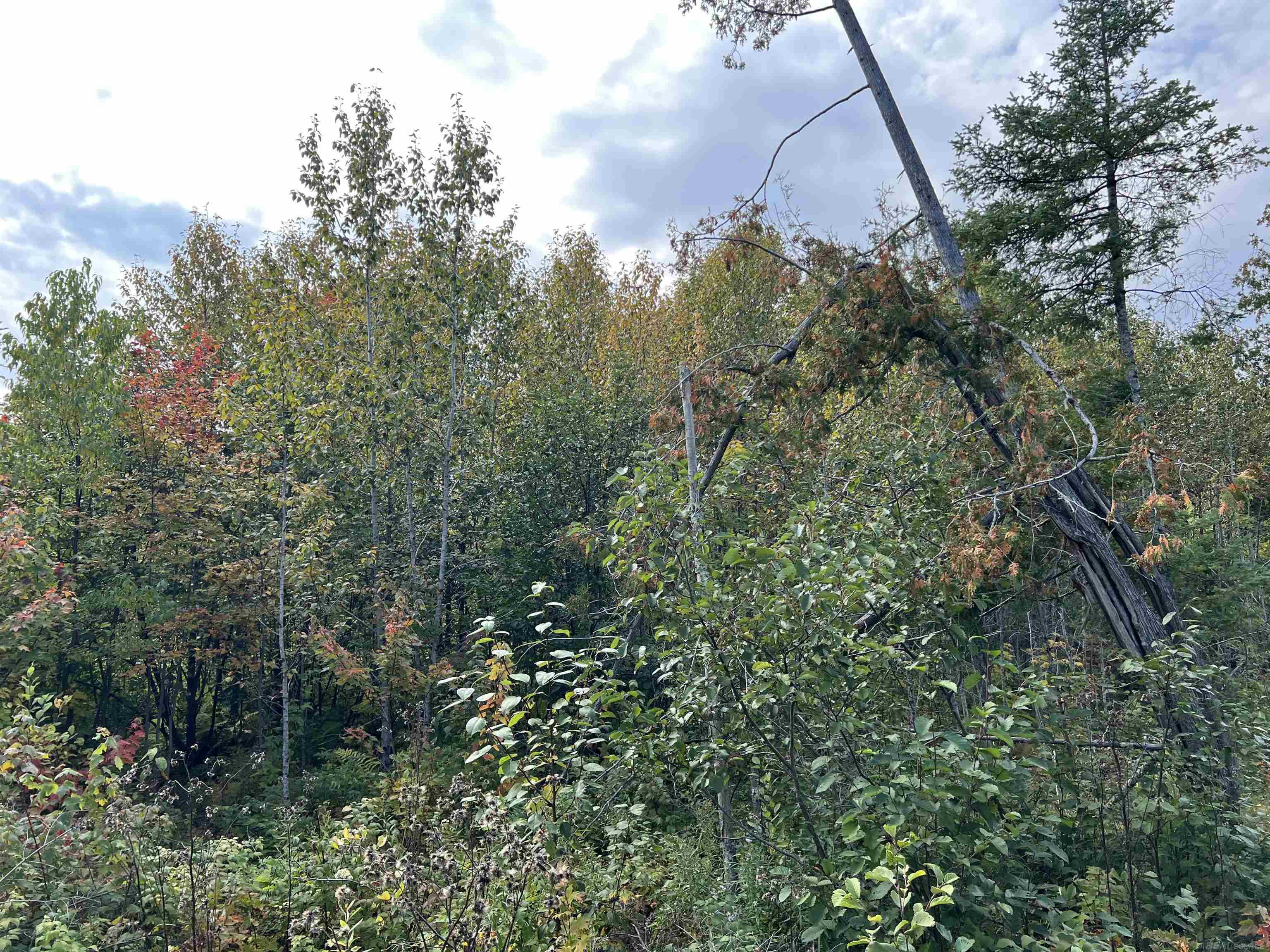 Xxx Ford River Road Felch, MI 49831 - Photo 22 of 32 Gallery Image 22