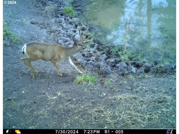 a view of outdoor space and yard