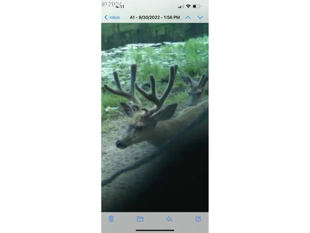 a picture of a bench in a white building