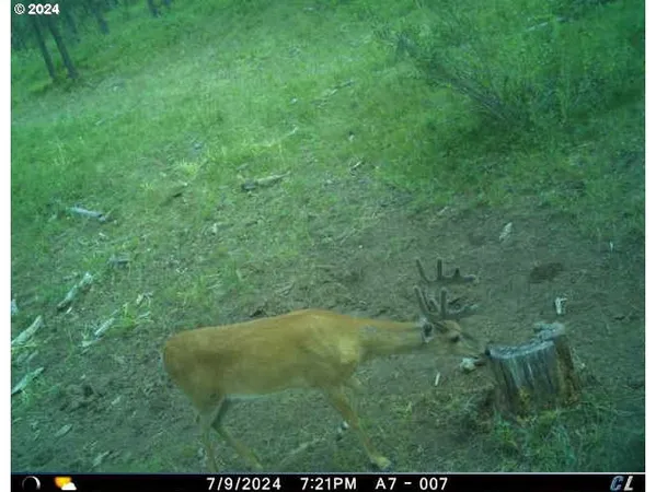 a view of a balcony with lake view and mountain view