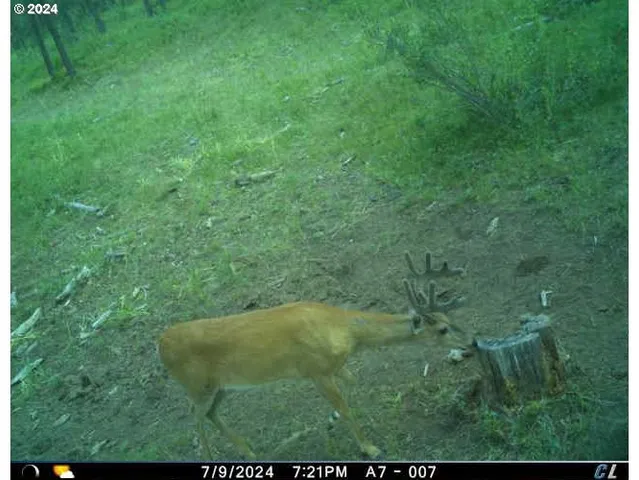 a view of a balcony with lake view and mountain view