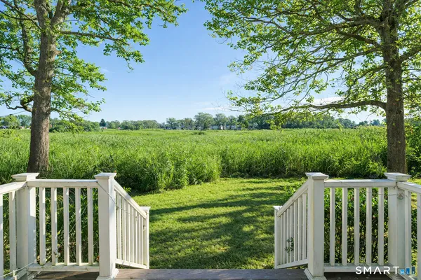 a view of a garden with a tree