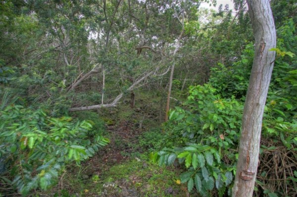 89-688 Ohana Road Captain Cook, HI 96704 - Photo 11 of 20 Gallery Image 11