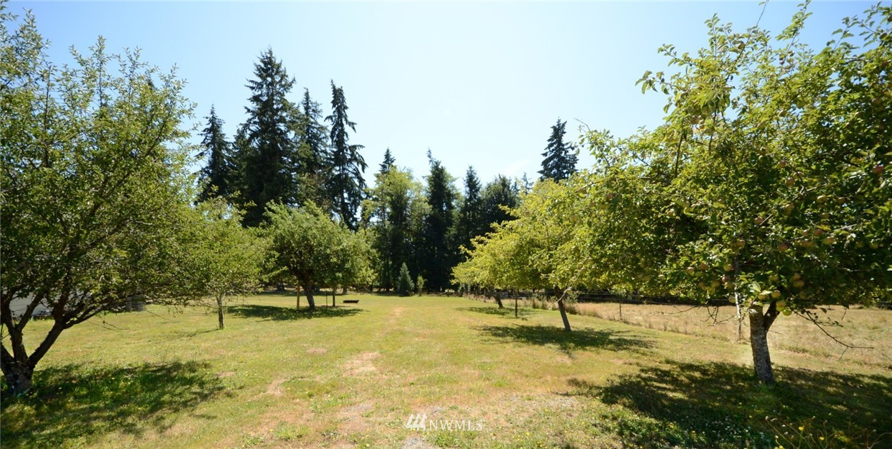 9445 Lundeen Road Southwest Rochester, WA 98579 - Photo 11 of 38 Gallery Image 11