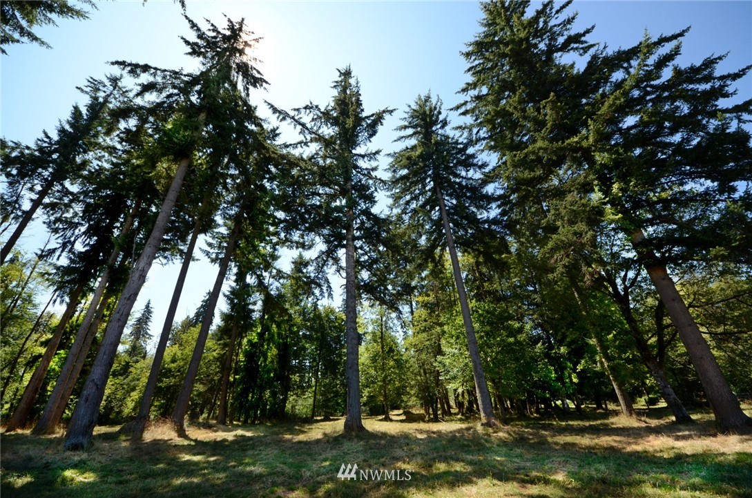9445 Lundeen Road Southwest Rochester, WA 98579 - Photo 28 of 38 Gallery Image 28