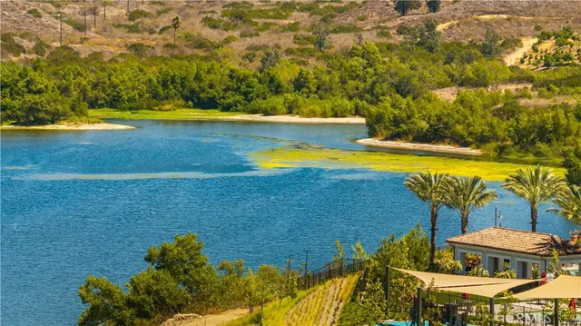 $2,798,000 | 106 Albero, Irvine, CA 92602