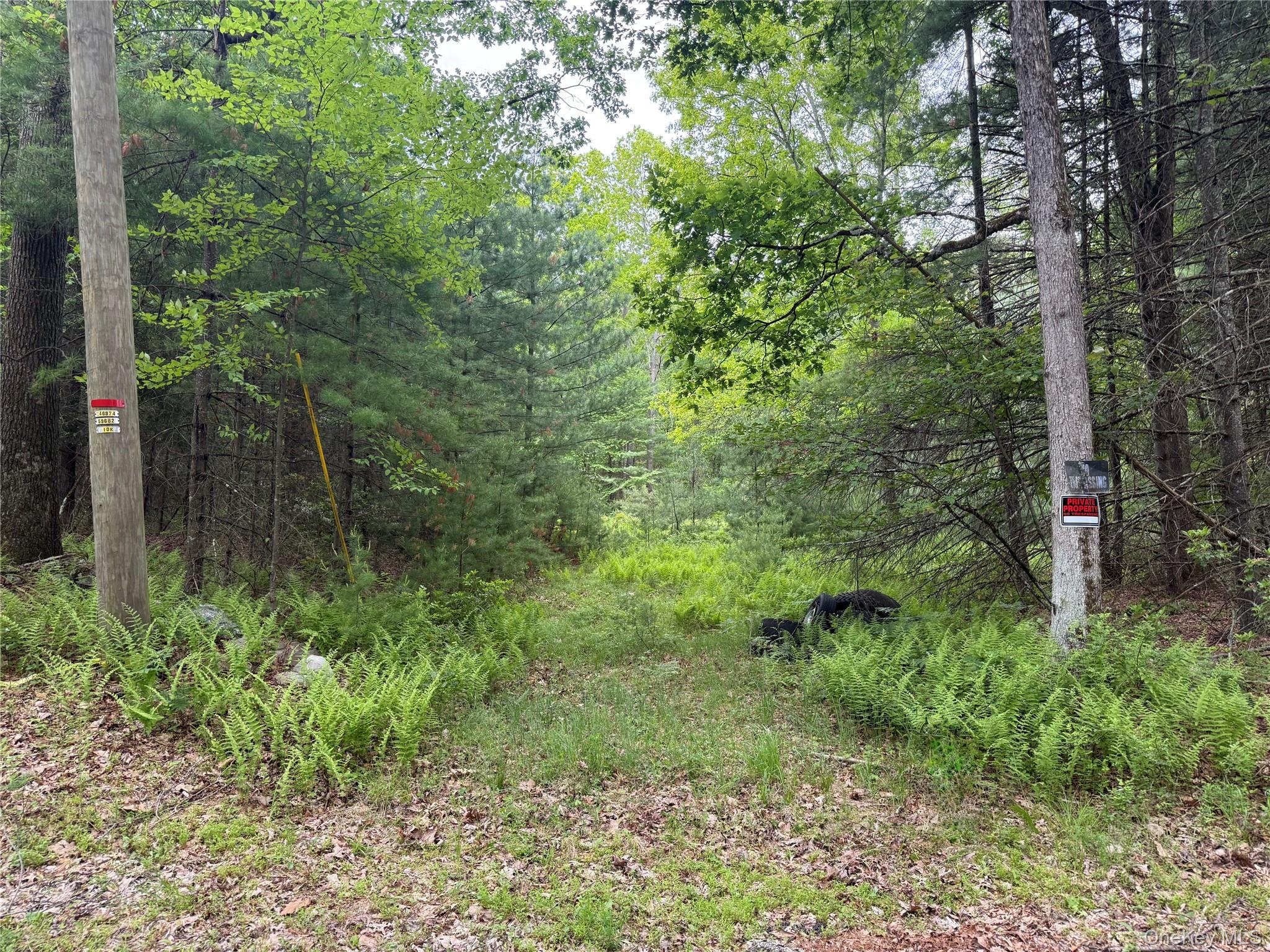 Depot Road Wurtsboro, NY 12790 - Photo 1 of 12 Property entrance.