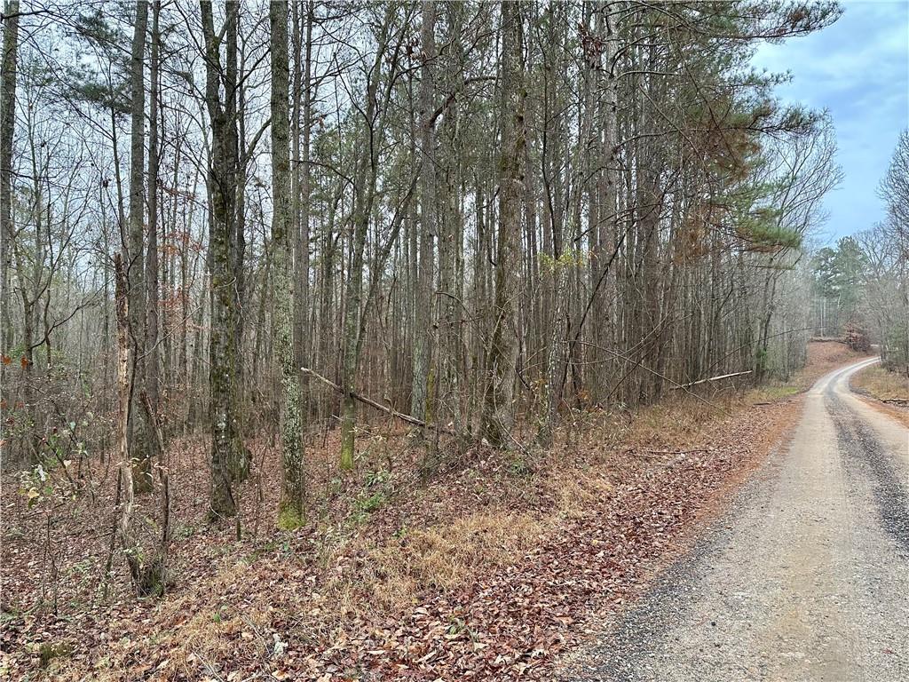 0 County Road 59 Heflin, AL 36264 - Photo 1 of 5