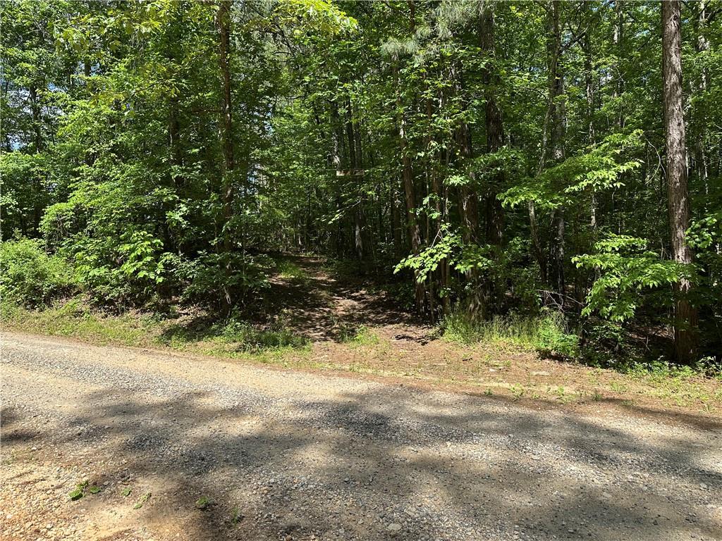 0 County Road 59 Heflin, AL 36264 - Photo 2 of 9