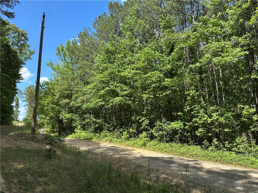 0 County Road 59 Heflin, AL 36264 - Photo 3 of 9