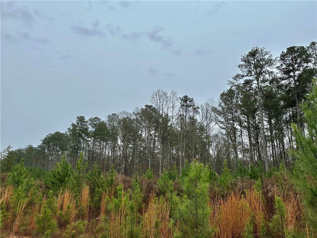 0 County Road 59 Heflin, AL 36264 - Photo 3 of 5