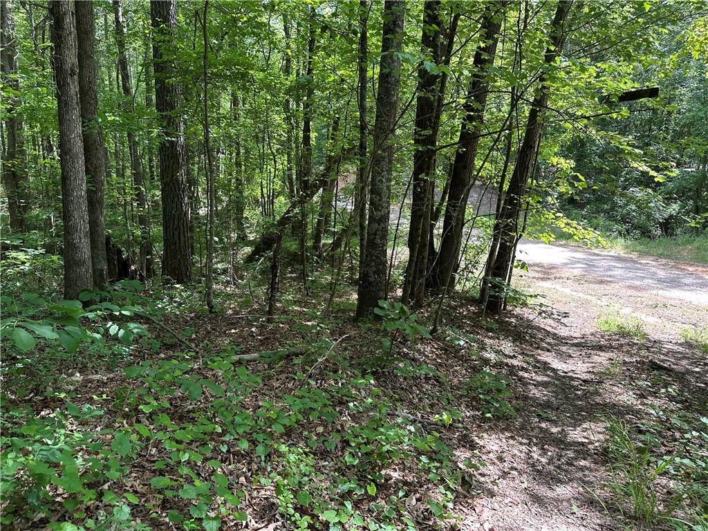 0 County Road 59 Heflin, AL 36264 - Photo 4 of 9