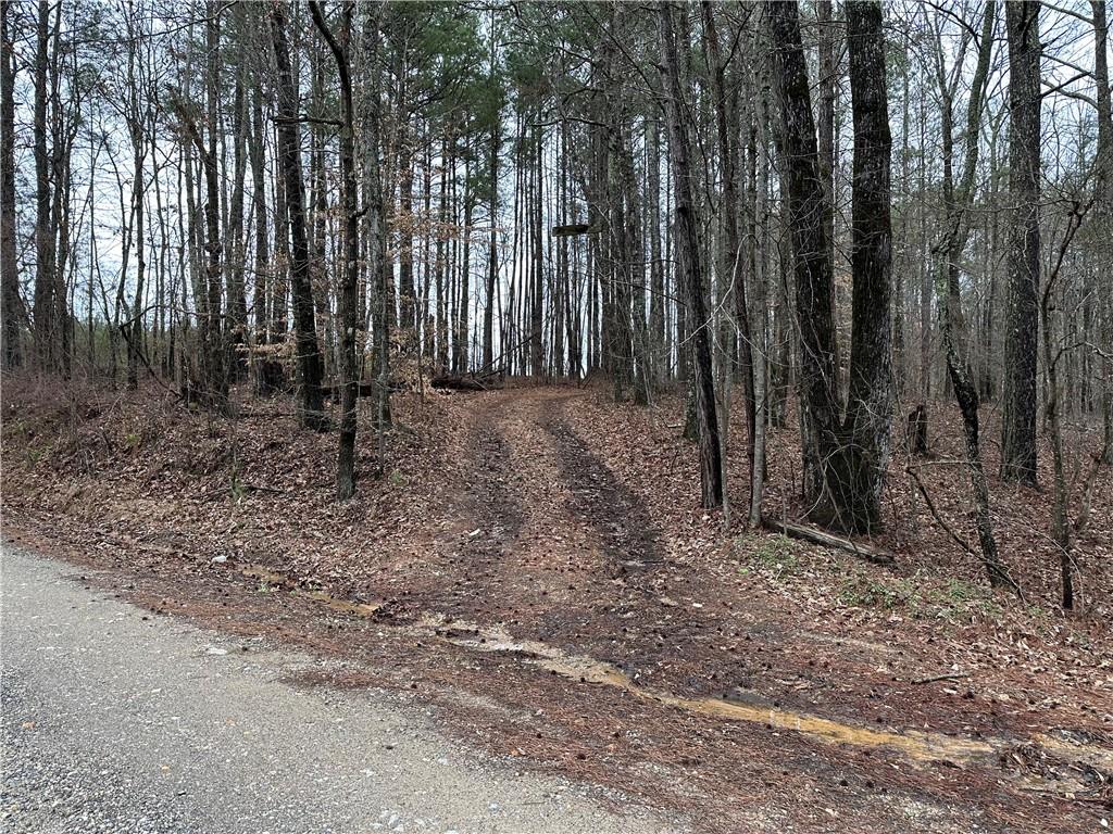 0 County Road 59 Heflin, AL 36264 - Photo 5 of 5