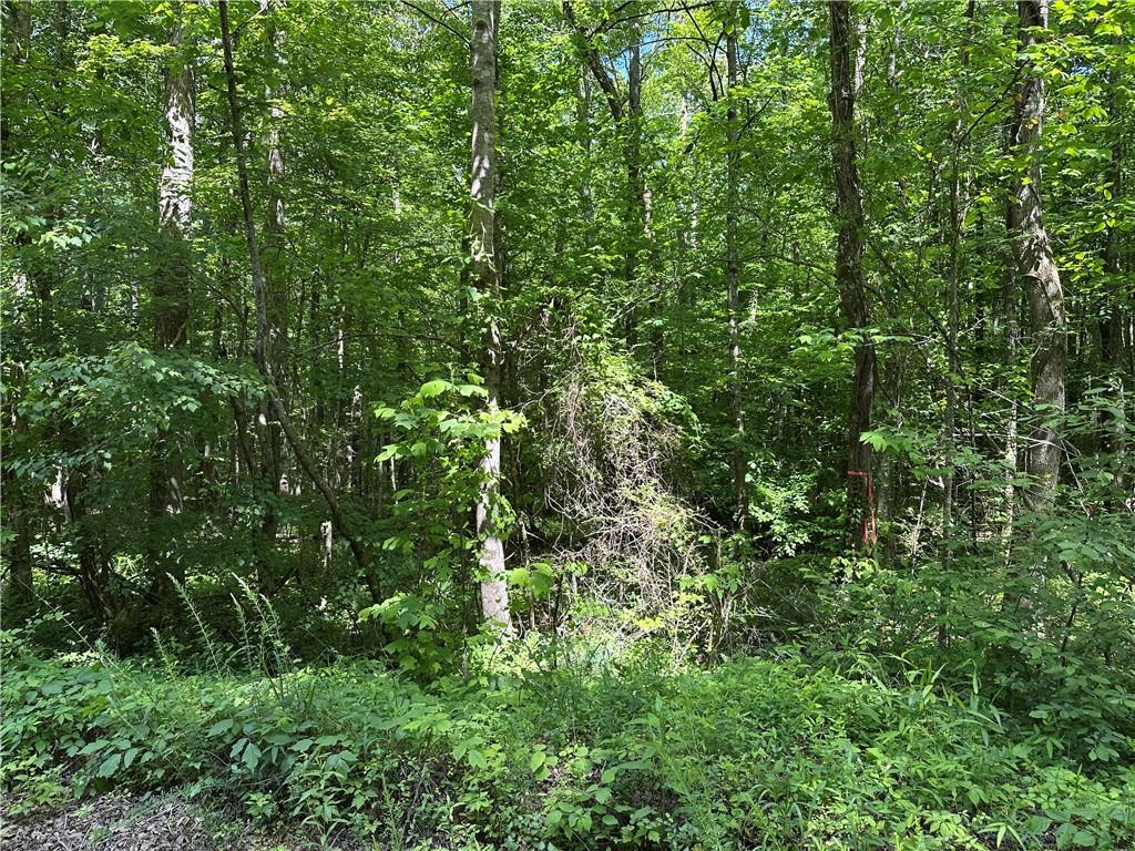 0 County Road 59 Heflin, AL 36264 - Photo 5 of 9