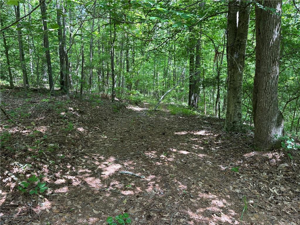 0 County Road 59 Heflin, AL 36264 - Photo 7 of 9
