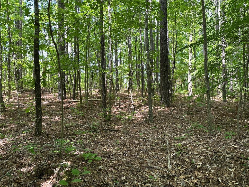 0 County Road 59 Heflin, AL 36264 - Photo 8 of 9