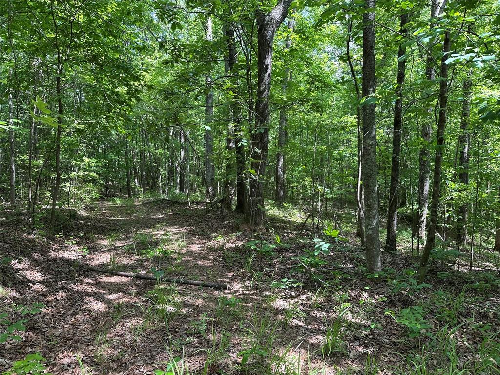 0 County Road 59 Heflin, AL 36264 - Photo 9 of 9