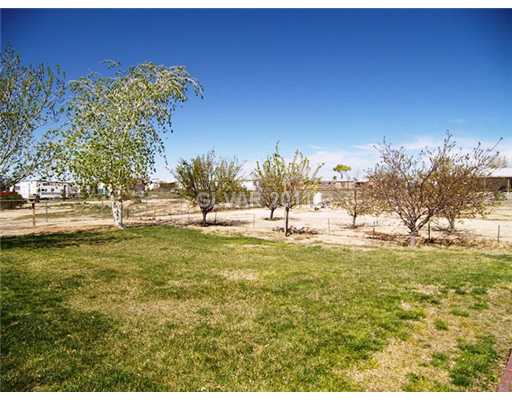 5560 Doubletree Road Pahrump, NV 89061 - Photo 7 of 25 Yard/Garden. Half acre lot has it s own well to water the small orchard which includes 3 almond trees, an apricot, a plum and a peach. The owner says they produce a lot of fruit. Shade trees including Modesto ash, Bradford pear, weeping mulberry and cottonwood.