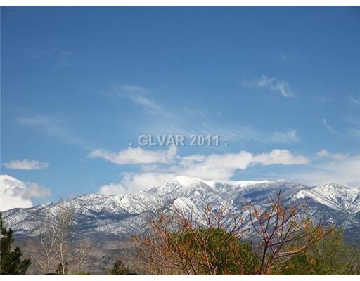 5560 Doubletree Road Pahrump, NV 89061 - Photo 8 of 25 View. Gorgeous view of Mt Charleston.