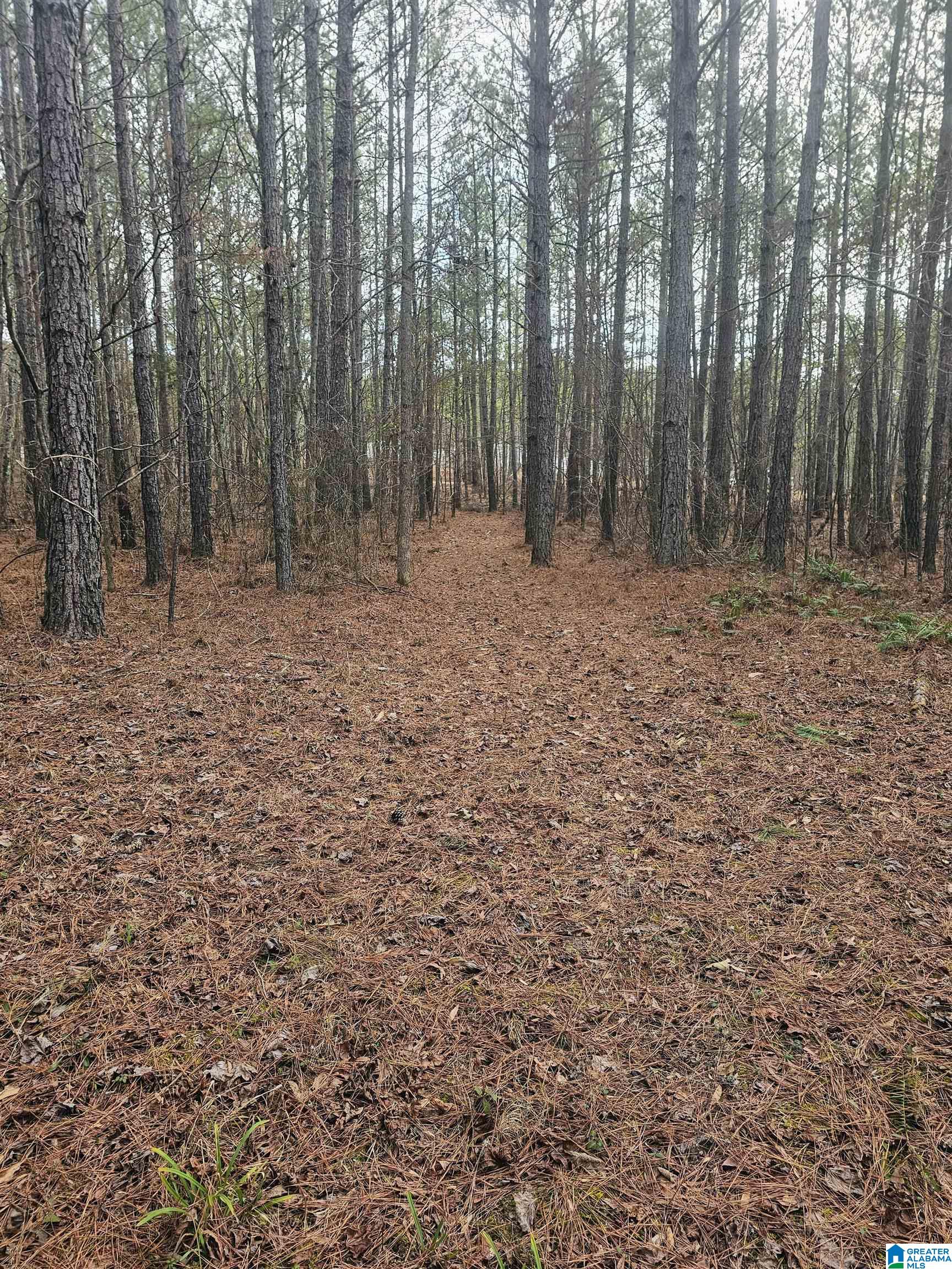 15 County Road 15, Unit 3 92 Heflin, AL 36264 - Photo 10 of 11