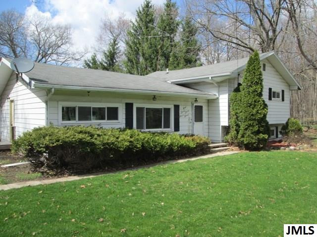 12244 Folks Road Hanover, MI 49241 - Photo 1 of 22 Photo 1