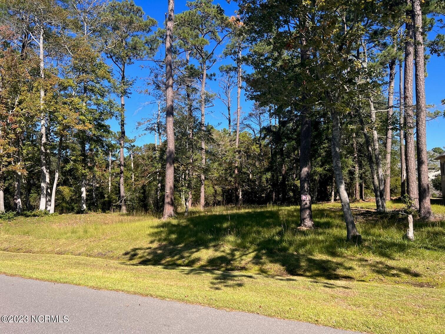 176 Genoe's Point Road Southwest Supply, NC 28462 - Photo 4 of 17 Picture4