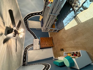 310 Nebo Church Road Seneca, SC 29678 - Photo 15 of 27 This versatile bedroom offers an expansive layout, perfect for dynamic living.