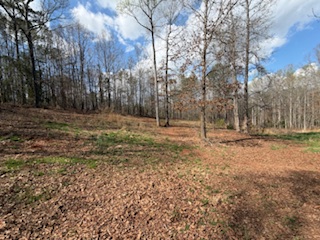 310 Nebo Church Road Seneca, SC 29678 - Photo 21 of 27 This expansive, wooded lot provides ample space for a custom-built home.
