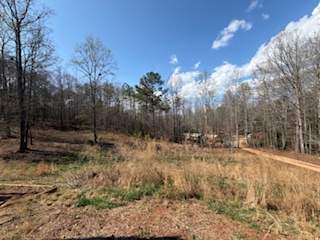 310 Nebo Church Road Seneca, SC 29678 - Photo 24 of 27 This expansive lot provides ample space to create your private oasis, surrounded by mature trees.