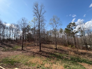 310 Nebo Church Road Seneca, SC 29678 - Photo 26 of 27 This expansive lot offers ample space for building, surrounded by mature trees.