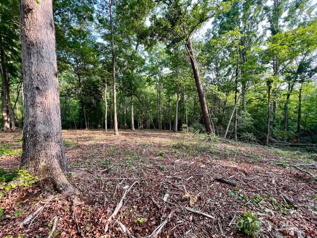 a view of backyard with green space