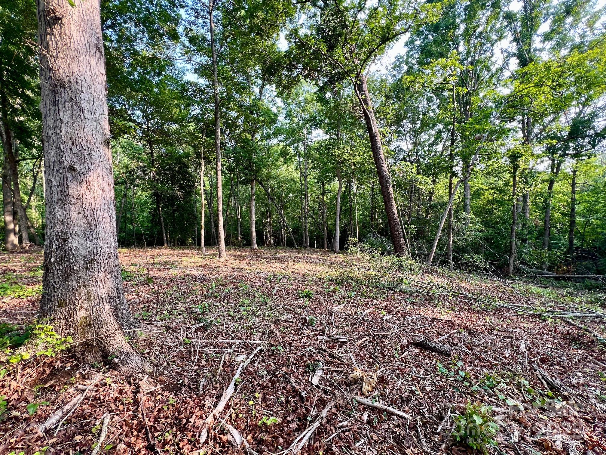 0 Campfield Church Road Ellenboro, NC 28040 - Photo 12 of 32 a view of backyard with green space