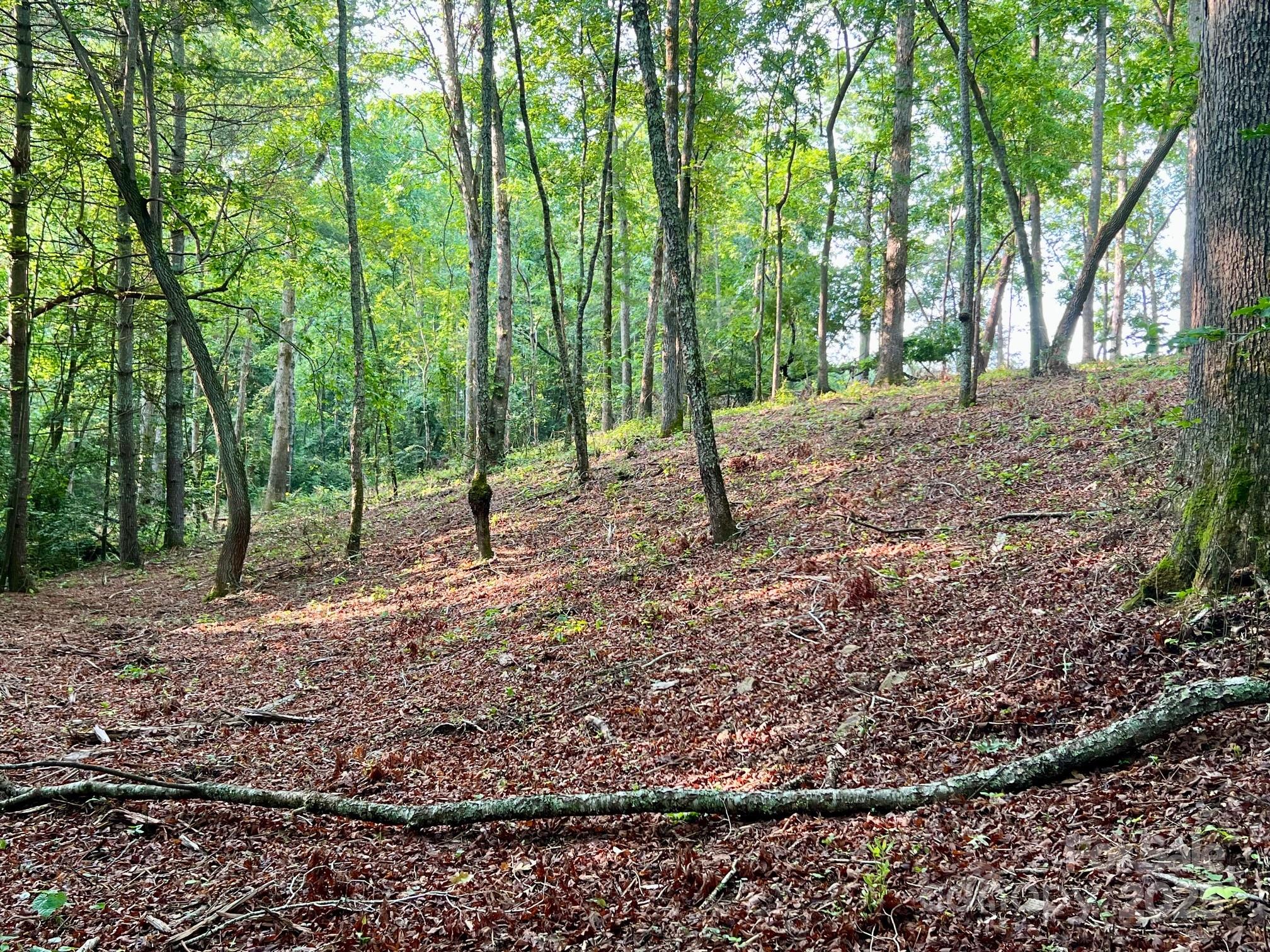 0 Campfield Church Road Ellenboro, NC 28040 - Photo 13 of 32 a backyard of a house with lots of green space