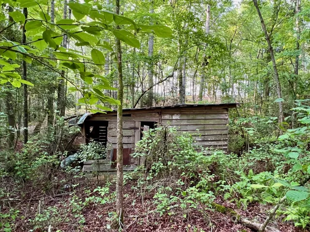 a view of table and chair in the garden