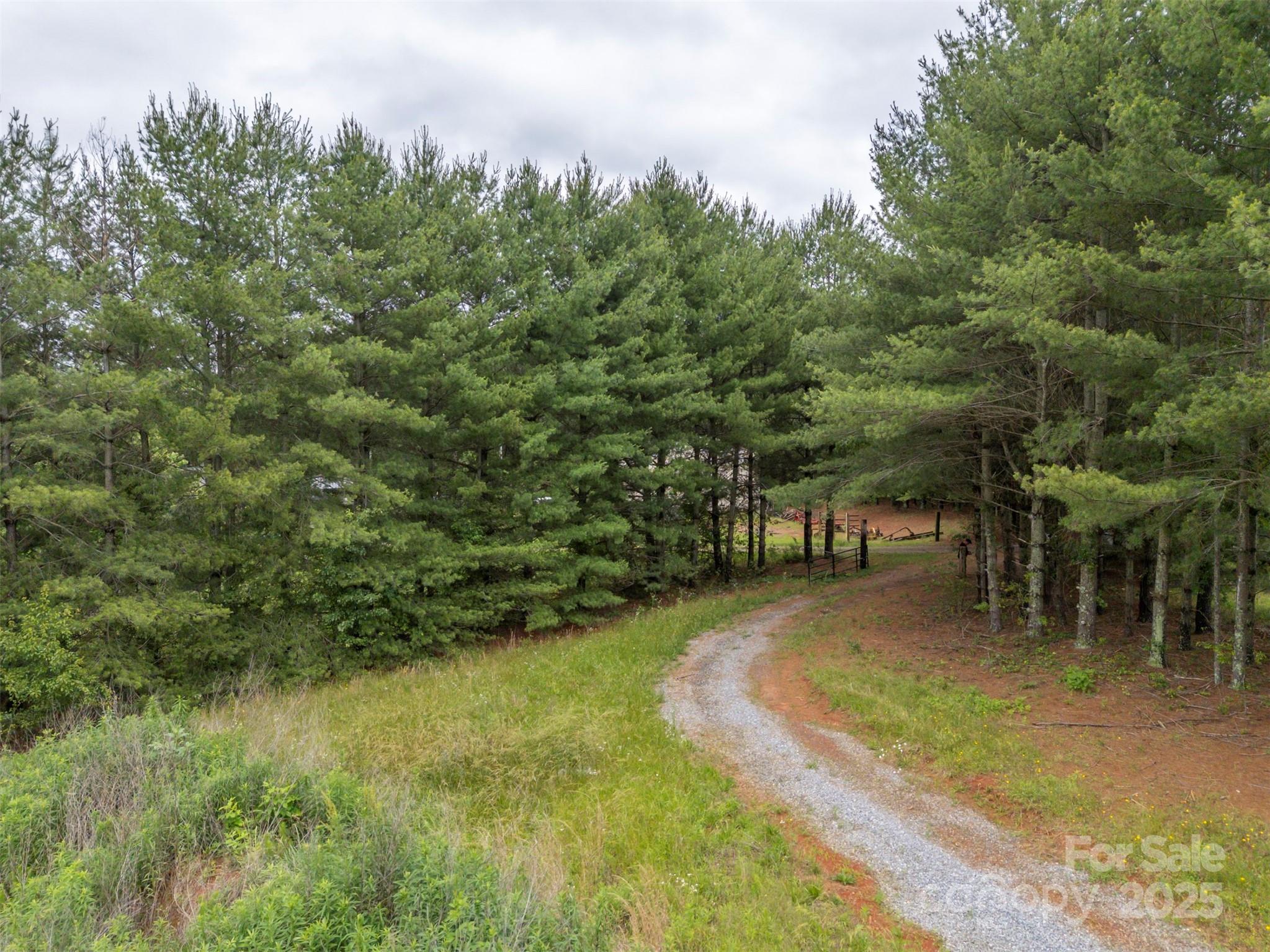 0 Campfield Church Road Ellenboro, NC 28040 - Photo 24 of 32 a view of yard with green space