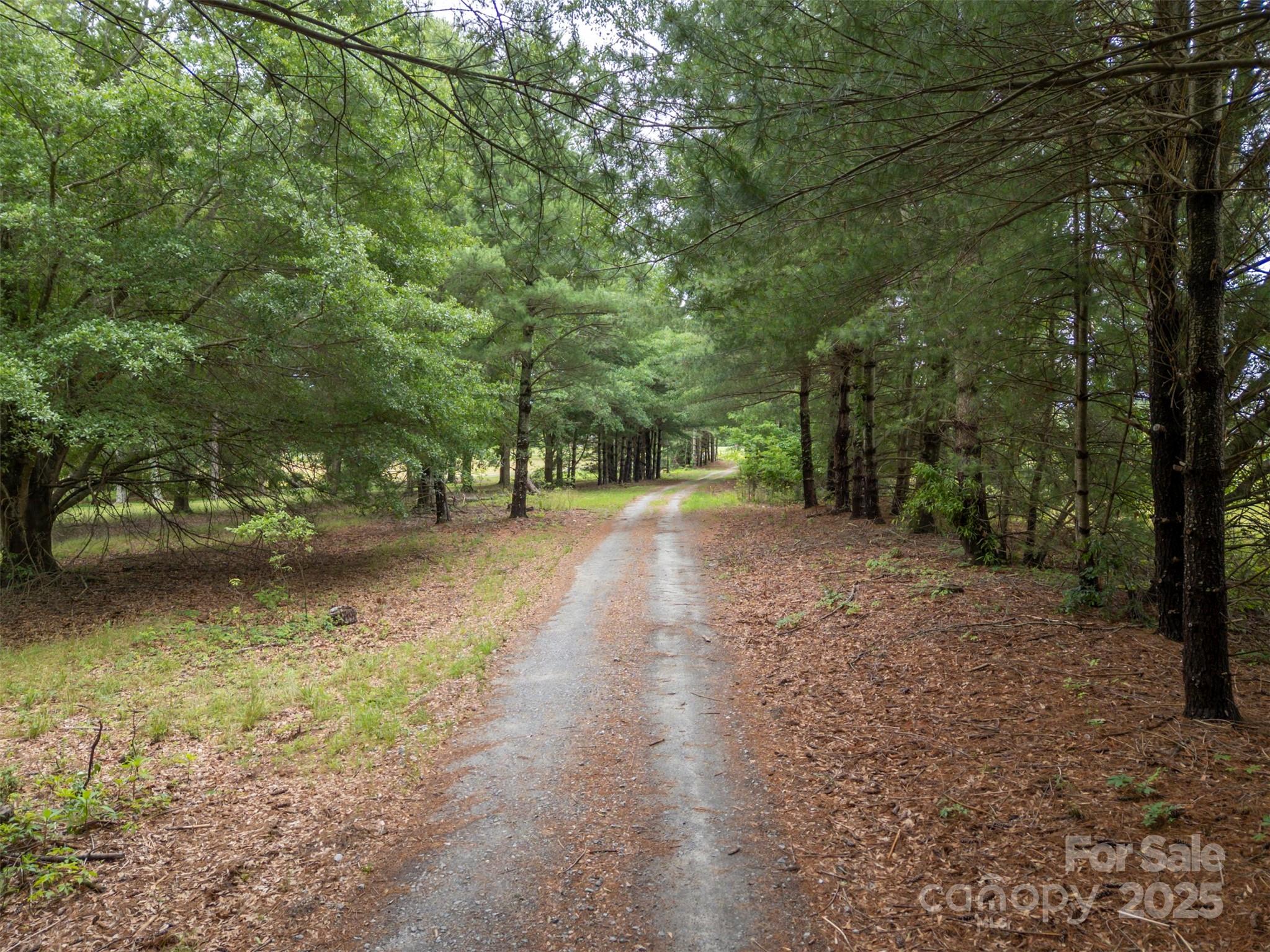 0 Campfield Church Road Ellenboro, NC 28040 - Photo 25 of 32 a view of a yard with plants and trees