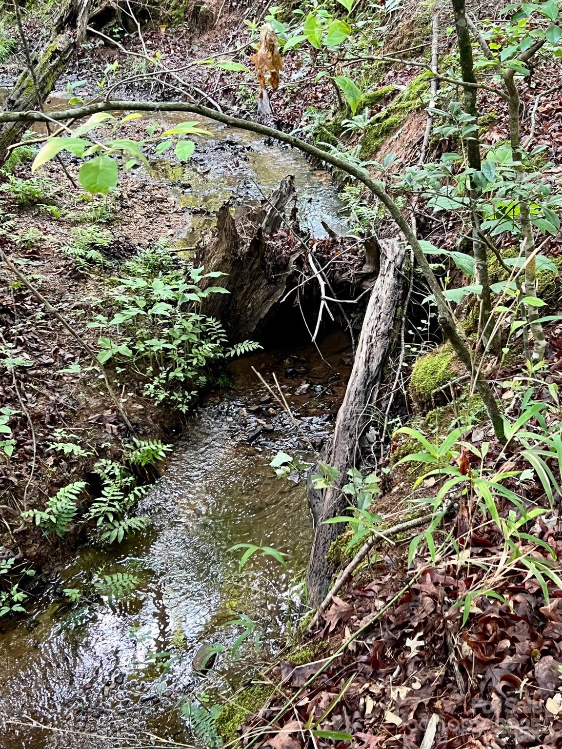 0 Campfield Church Road Ellenboro, NC 28040 - Photo 32 of 32 a view of a tree in a garden