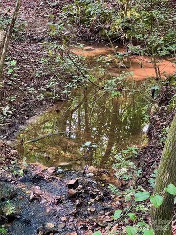 a view of a yard with plants and trees