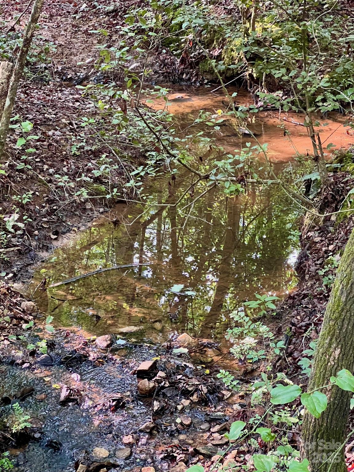 0 Campfield Church Road Ellenboro, NC 28040 - Photo 4 of 32 a view of a yard with plants and trees