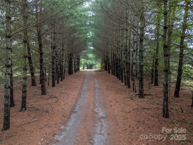 a view of a street with lots of trees