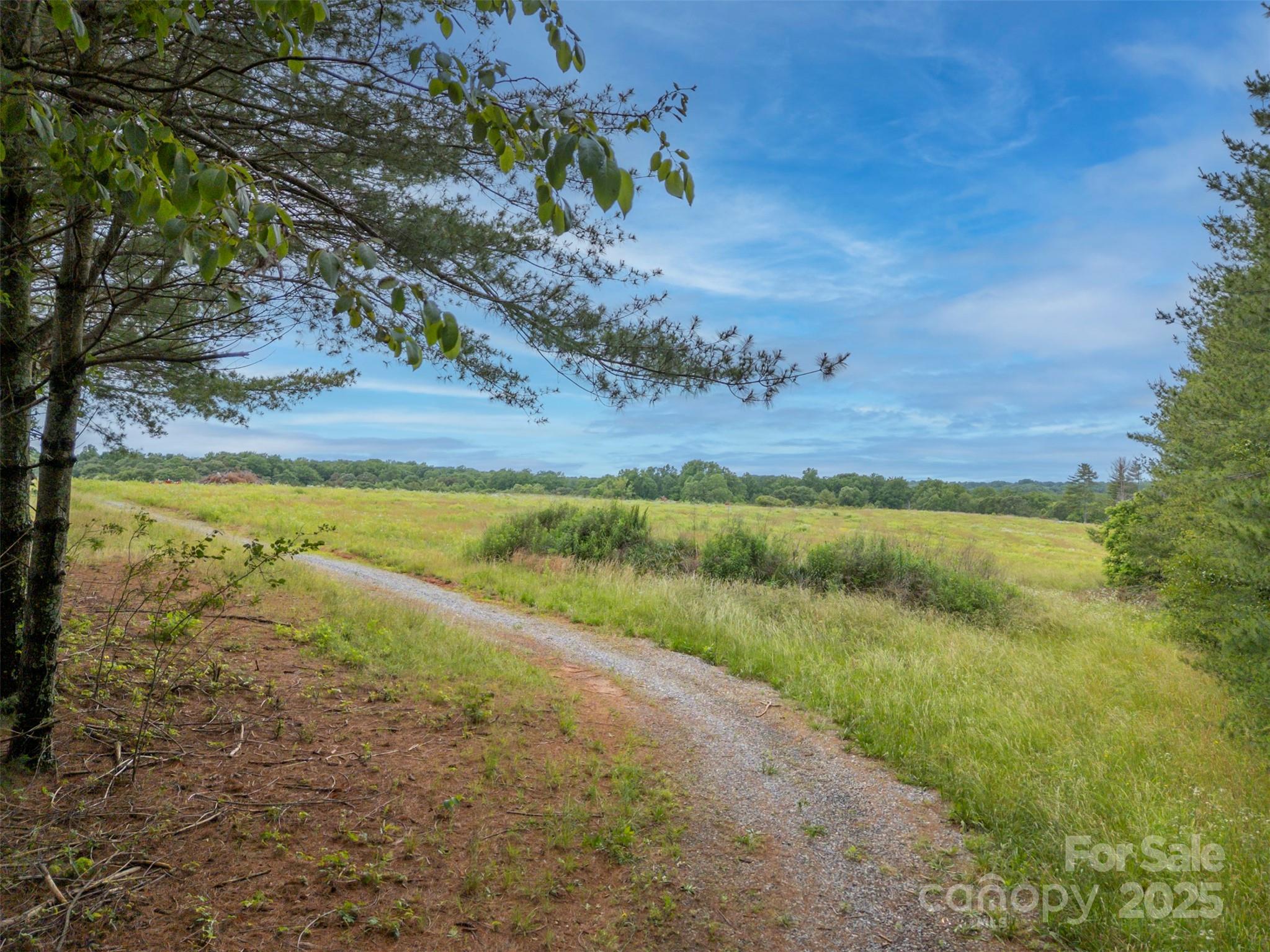 0 Campfield Church Road Ellenboro, NC 28040 - Photo 10 of 32 a view of a yard with an outdoor space