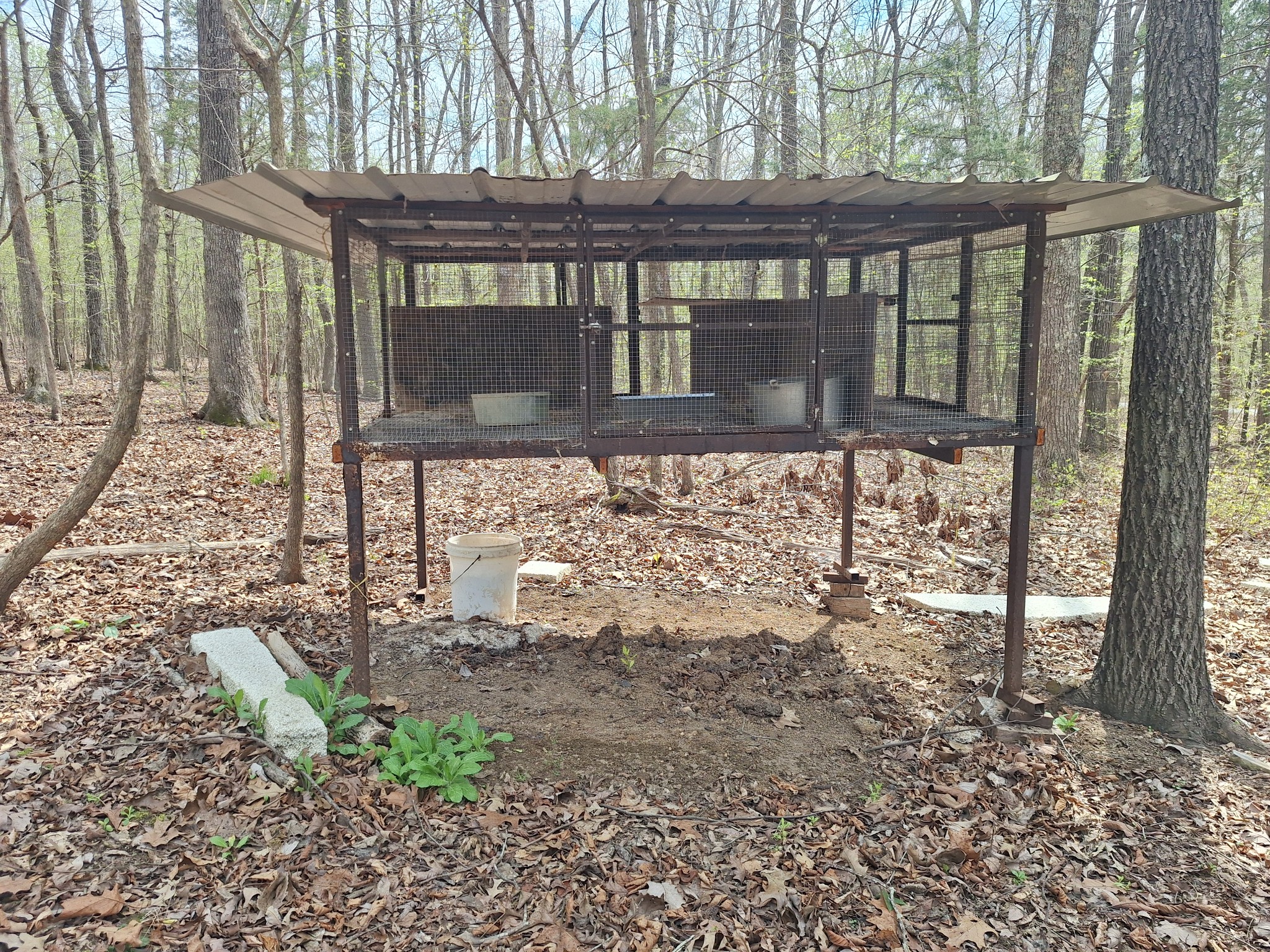 1622 Hill Chapel Road Big Sandy, TN 38221 - Photo 13 of 14 a view of house with backyard and garden