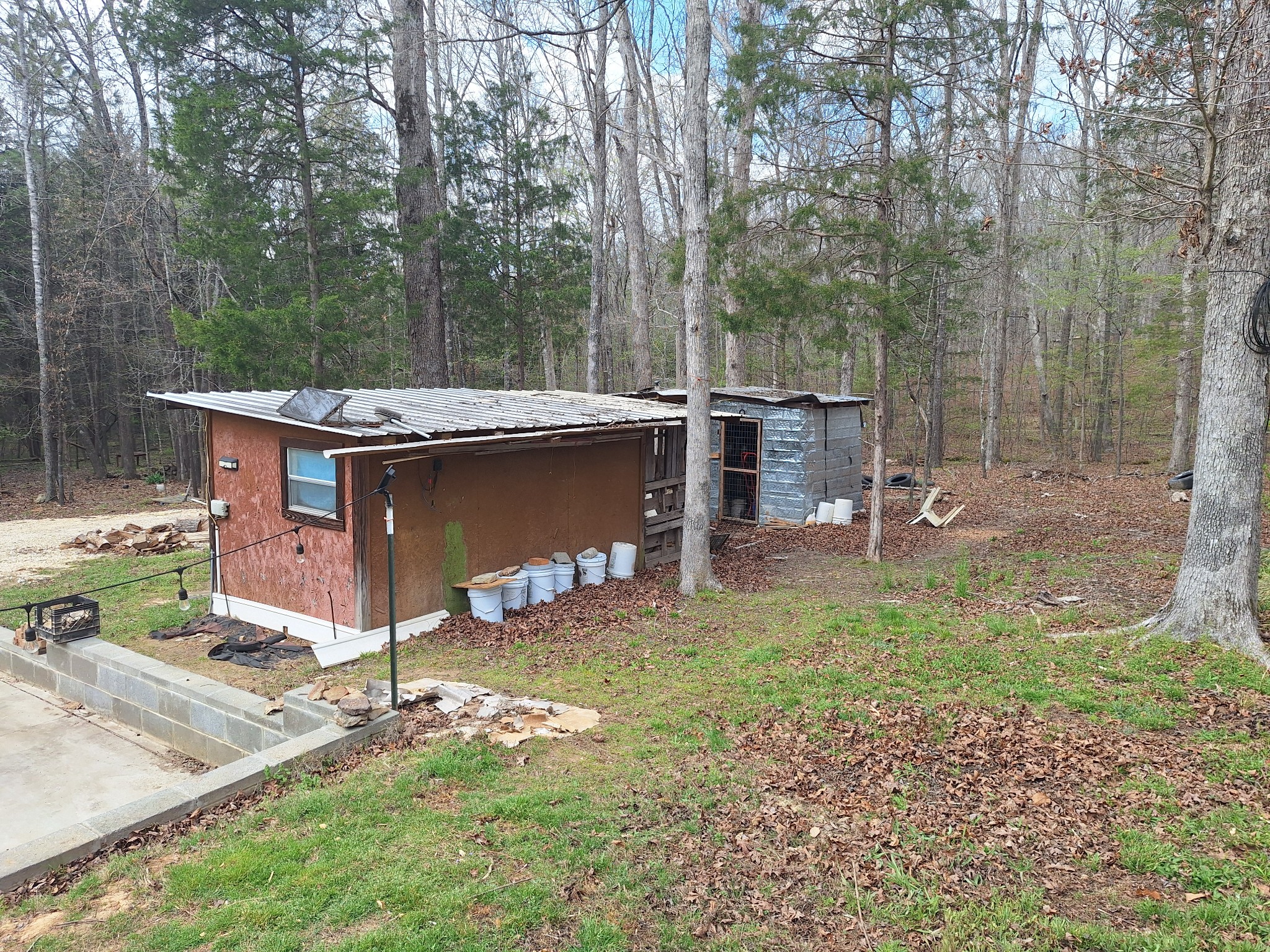 1622 Hill Chapel Road Big Sandy, TN 38221 - Photo 4 of 14 a view of a house with a backyard