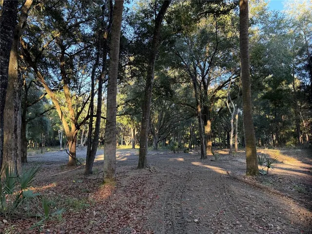 a view of outdoor space with trees