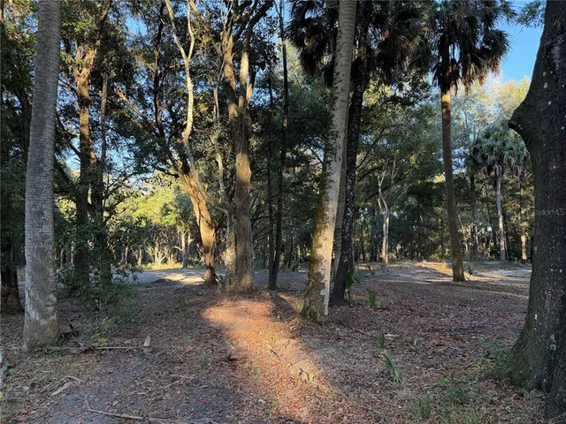 a view of road with trees