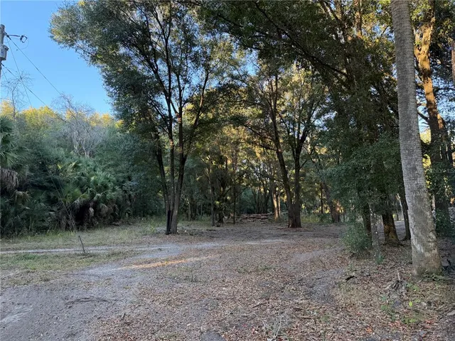 a view of outdoor space with trees