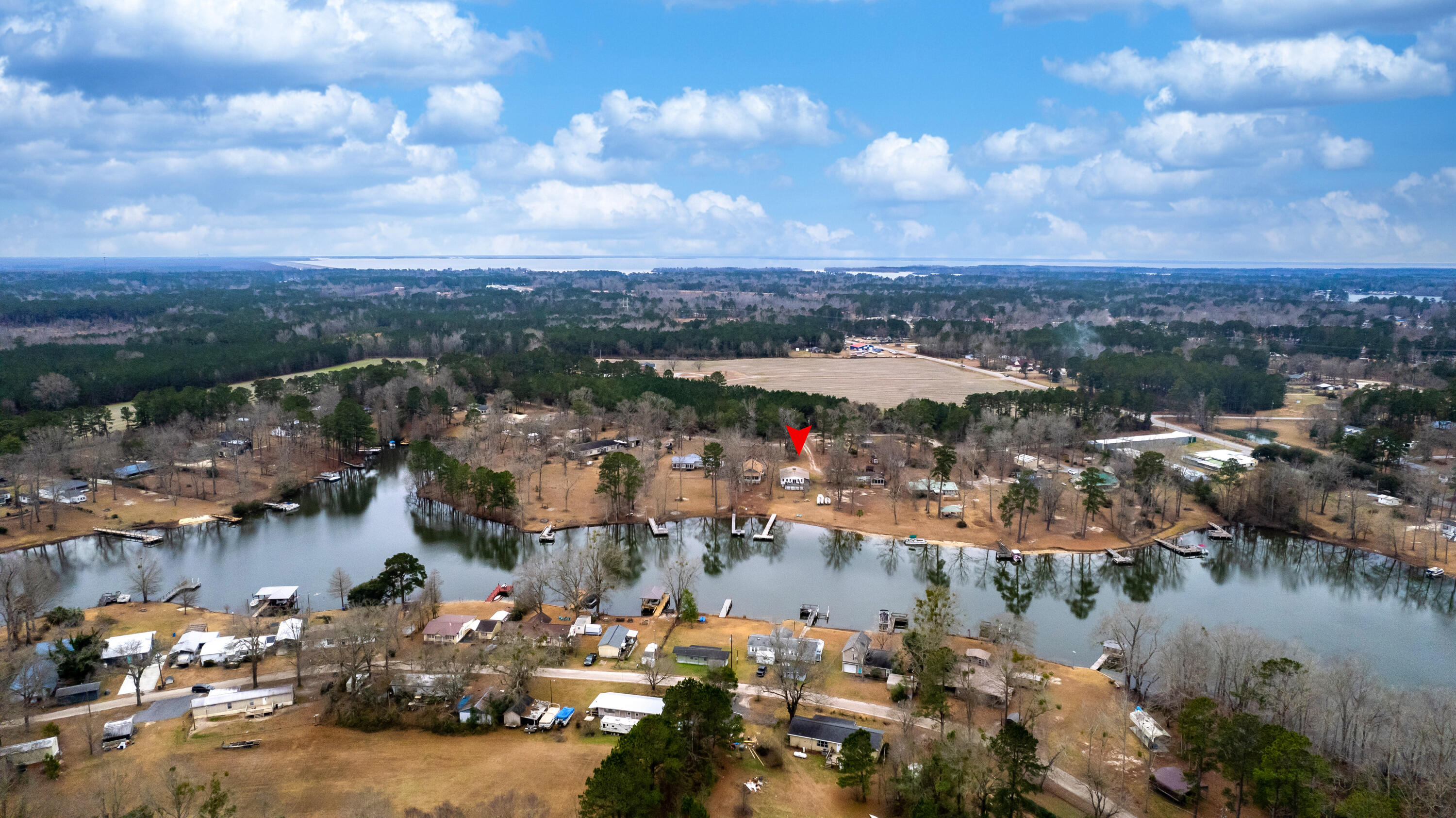 2046 James Loop Road Manning, SC 29102 - Photo 44 of 48 AERIAL VIEW