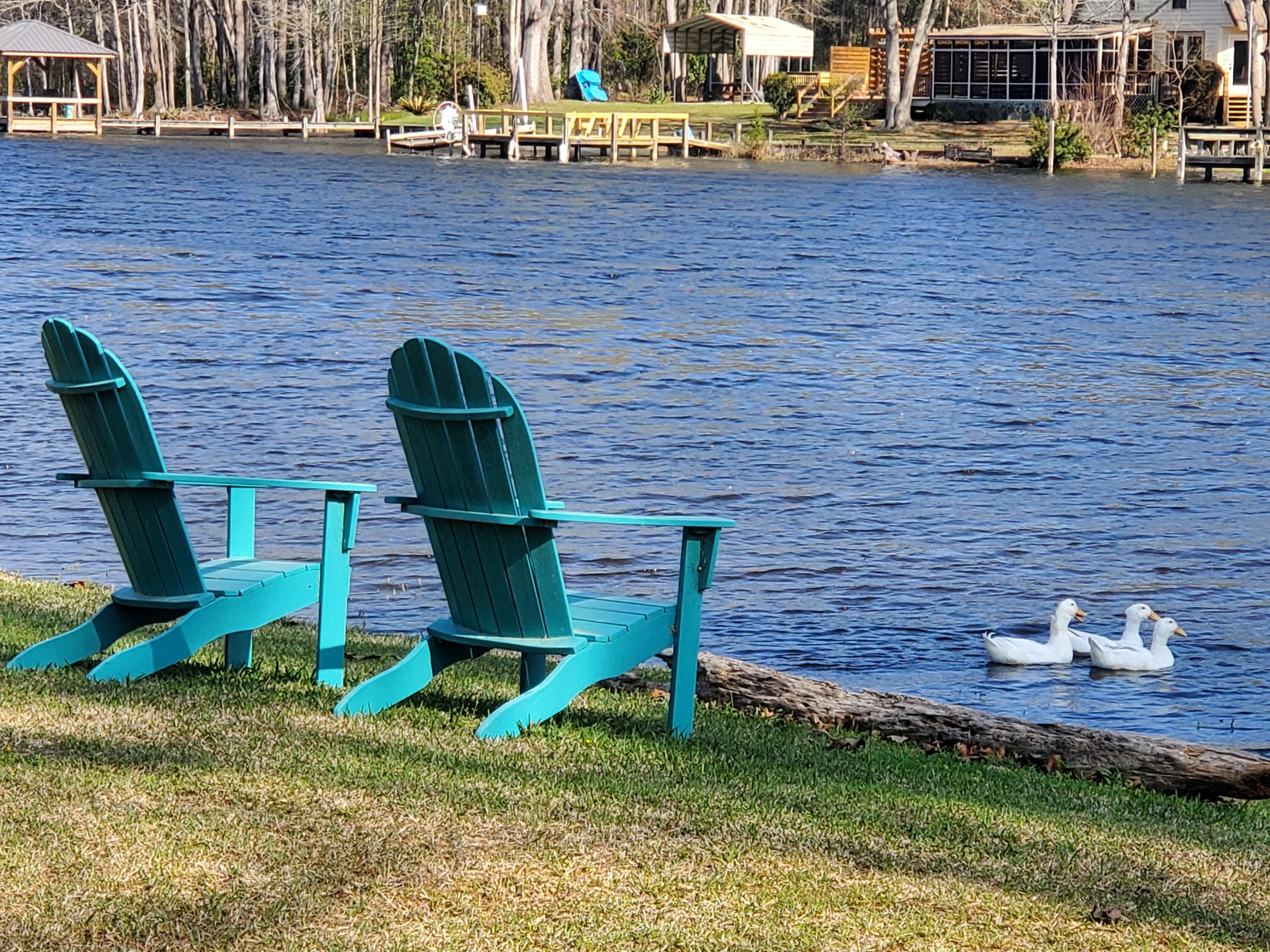 2046 James Loop Road Manning, SC 29102 - Photo 5 of 48 RELAX BY THE LAKE