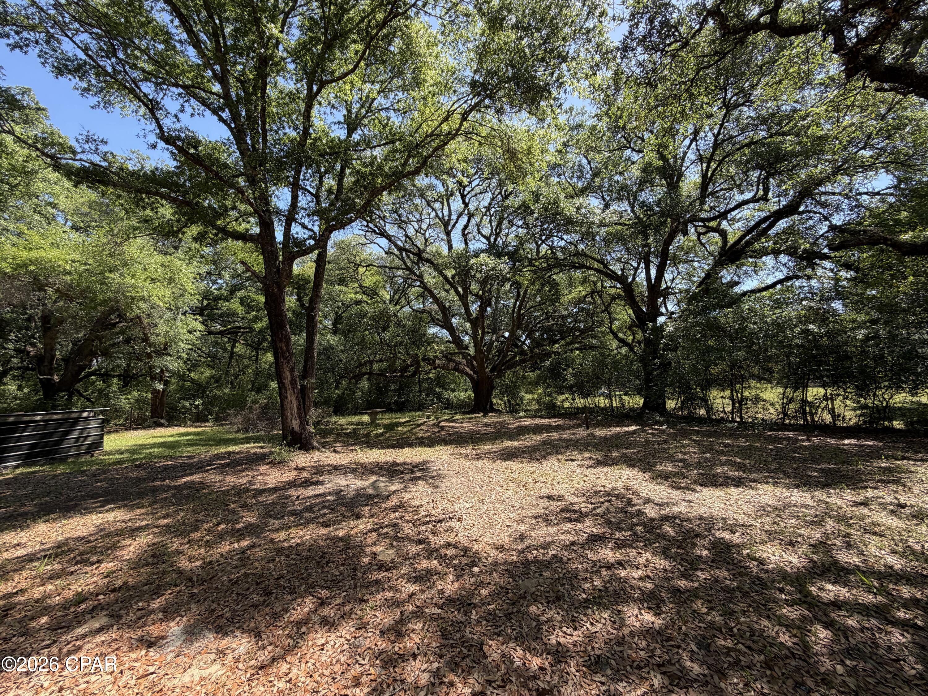 2839 Beall Packing Road Bonifay, FL 32425 - Photo 5 of 21