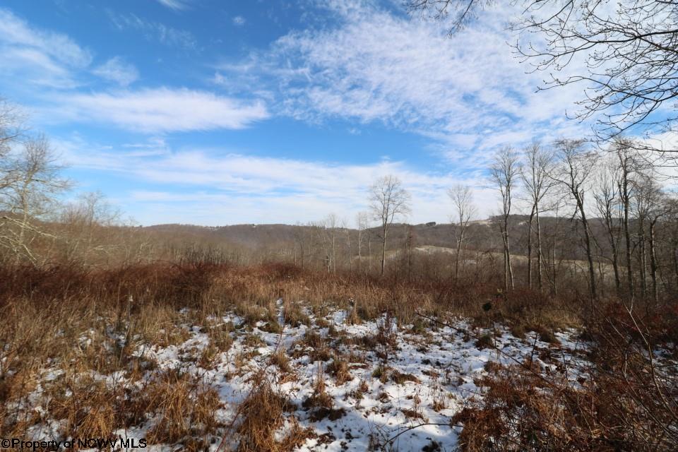 Tbd Saltlick Road Terra Alta, WV 26764 - Photo 3 of 10 Gallery Image 3